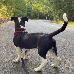 Meet your Posher, Evan